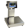 Electronic Checkweighers