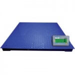 Platform Scales