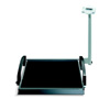 Multifunction & Wheelchair Scales