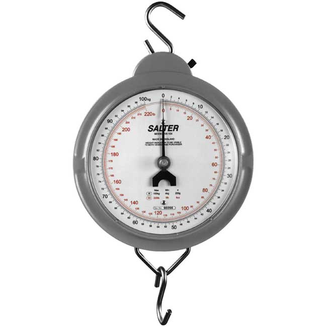 Are Salter Mechanical Scales Accurate at Janice Curry blog
