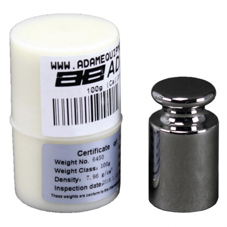 Adam OIML Class E2 100 g Calibration Weight