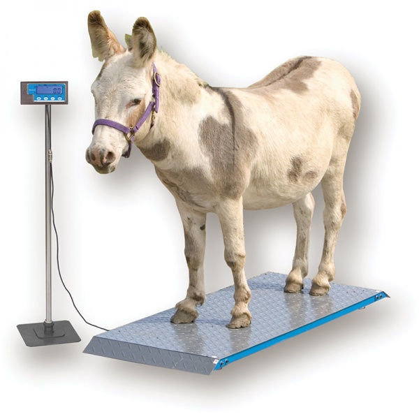 Brecknell PS1000 / PS2000 Floor Scales
