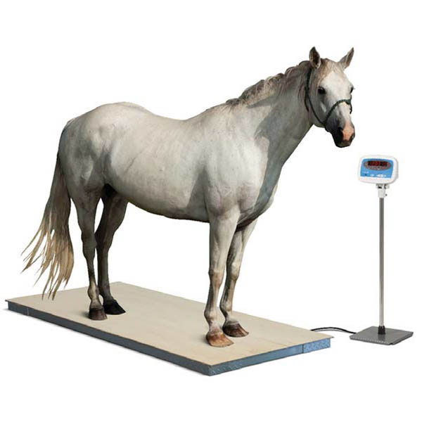 Horse Weighing Scales Horse Weigher