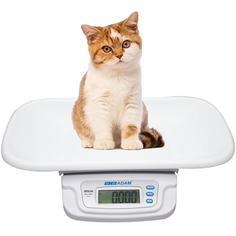 Adam Equipment MTB Animal / Vet Scale