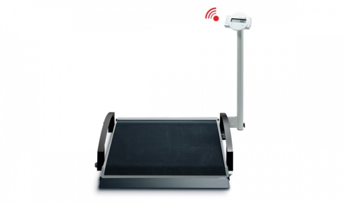 Seca 665 Class III Wheelchair Scales