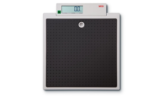 Seca 875 Flat Scales for Mobile Use